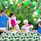 Tropical Balloons Arch Garland Kit Hawaiian Party Happy Birthday Banner Tropical Palm Leaves Tablecloth for Tropical Hawaii Aloha Luau Dinosaur Safari Baby Shower Wedding Theme Party Decorations